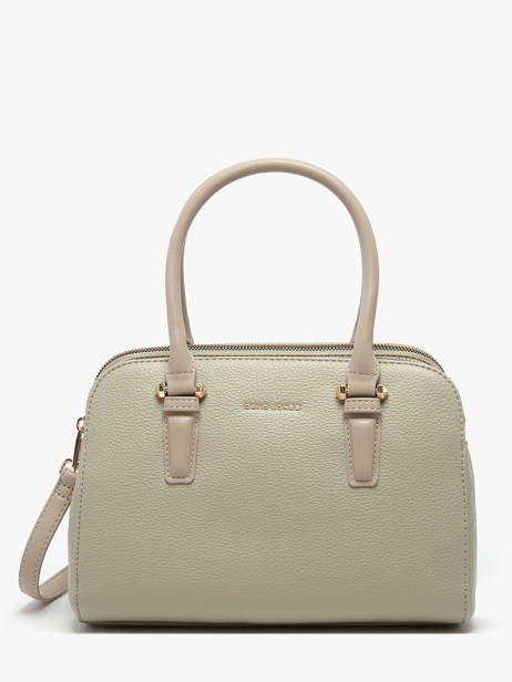 Handbag Alpes David jones Gray alpes CM6827H
