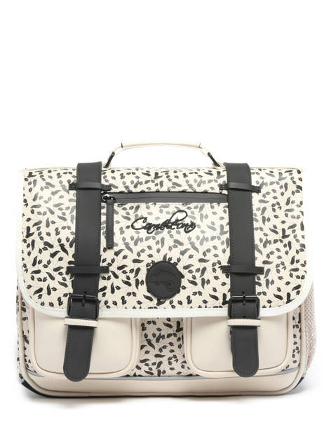 2-compartment Satchel Cameleon Beige vintage north PBVWCA38 other view 7