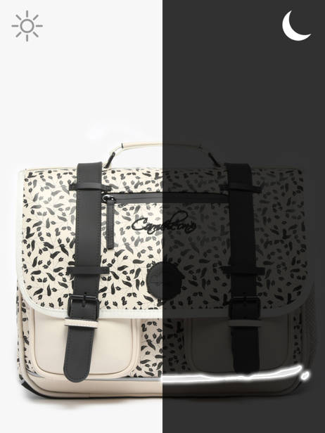 2-compartment Satchel Cameleon Beige vintage north PBVWCA38 other view 8