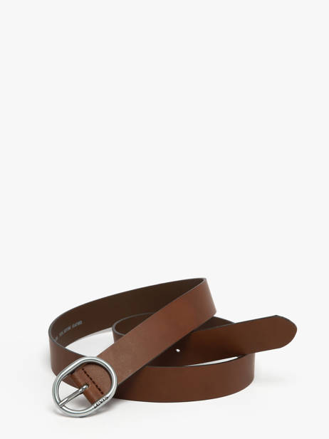 Ceinture Levi's Marron accessoires 90 vue secondaire 2