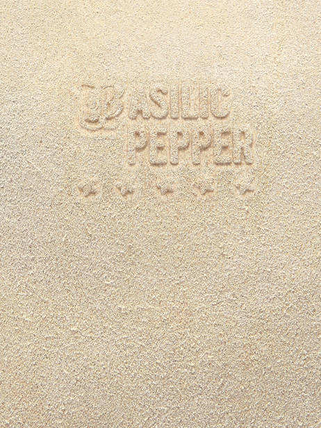 Handbag Houston A4 Leather Basilic pepper Beige houston BHOU22 other view 5